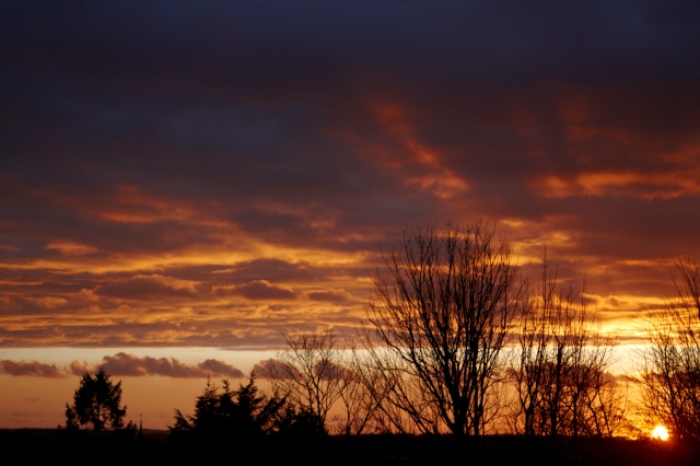Hertfordshire Sunset